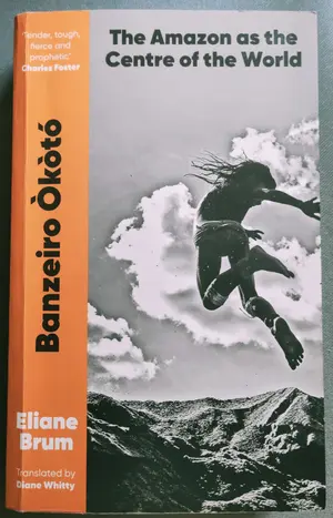 Banzeiro Òkòtó - Cover