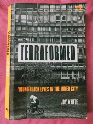 Terraformed: Young Black Lives in the Inner City - Repeater Books