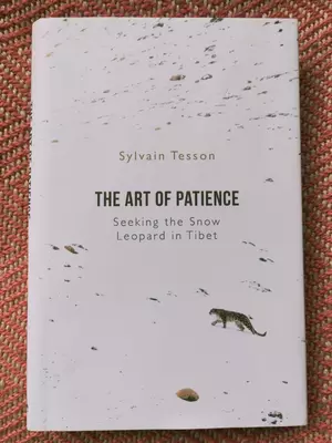 The Art of Patience - Cover