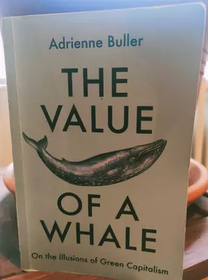 The Value of a Whale - Cover